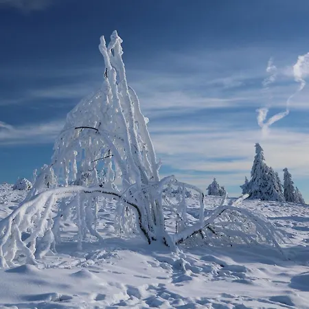 Hankeln Apartmán Winterberg