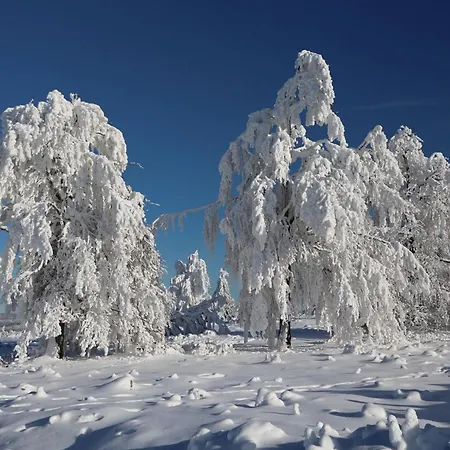 Apartament Hankeln *