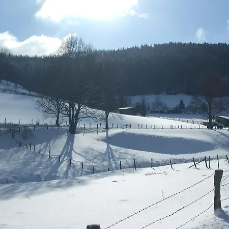 Apartament Hankeln *