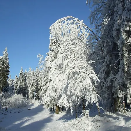 Hankeln * Winterberg