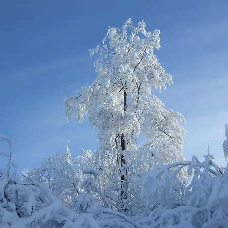 Apartament Hankeln Winterberg