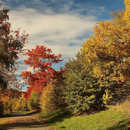 Hankeln Apartament *