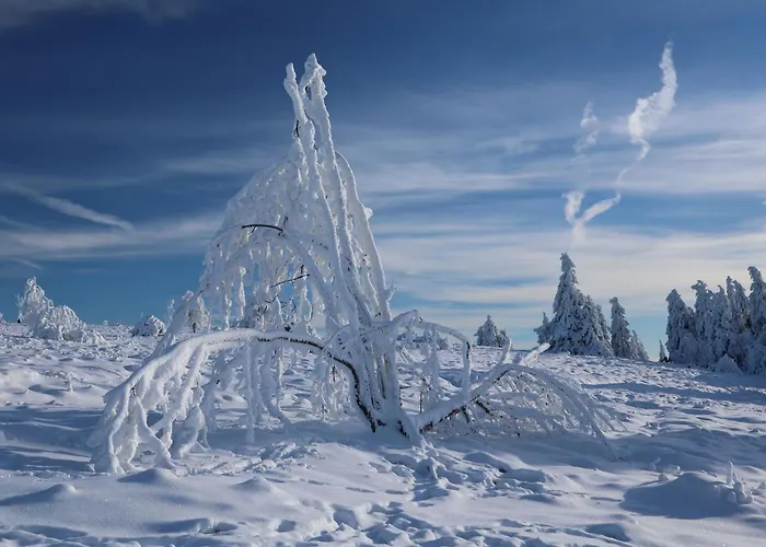 Hankeln Lägenhet Winterberg