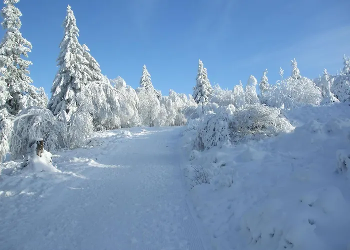 Lägenhet Hankeln Winterberg