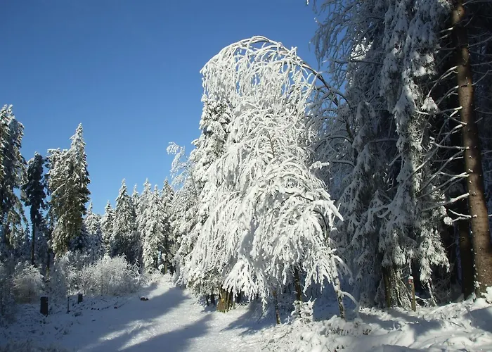 Hankeln * Winterberg