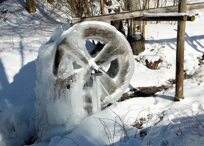 Hankeln Lägenhet Winterberg