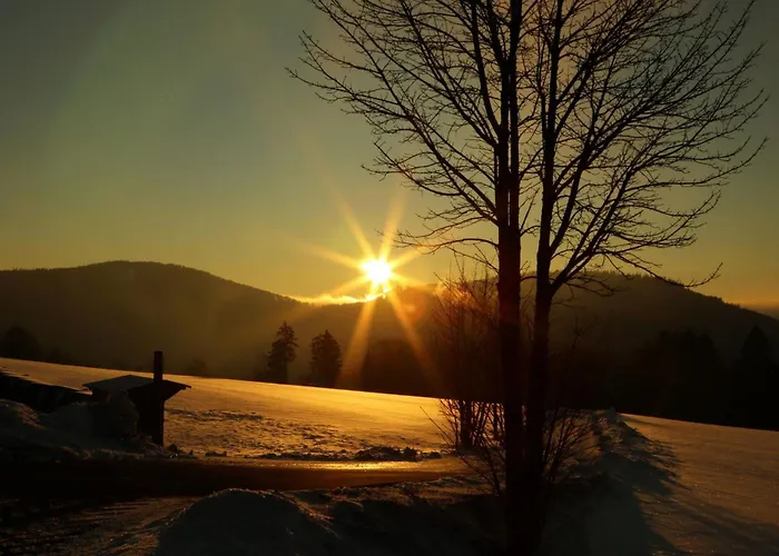 Apartamento Hankeln *