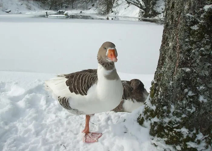 Lägenhet Hankeln Winterberg