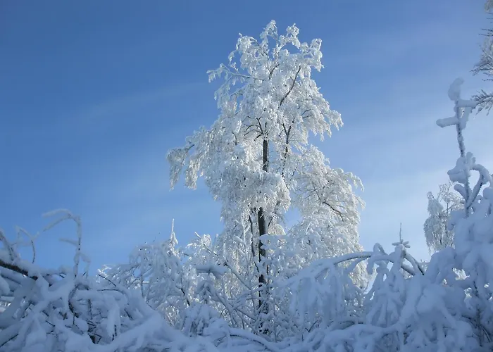 Lägenhet Hankeln Winterberg