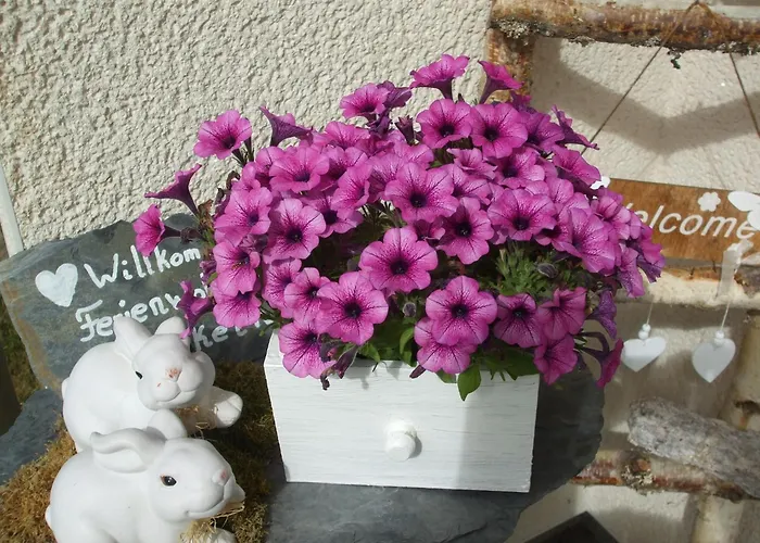 Apartamento Hankeln *