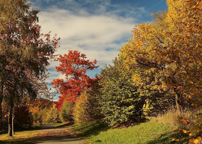 Hankeln Apartamento *