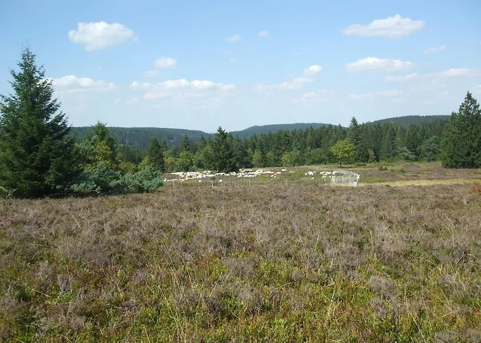 Hankeln Apartamento Winterberg